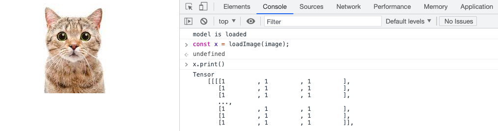 loaded image