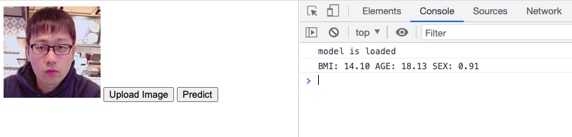 predict image